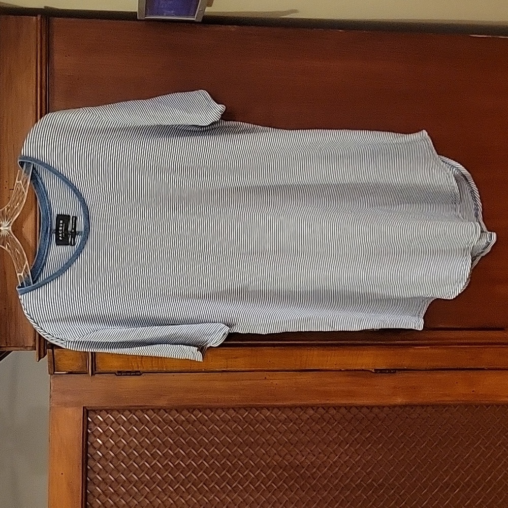 PacSun | Men's Blue and White Micro Striped Longer Fit Cotton T-shirt in size M